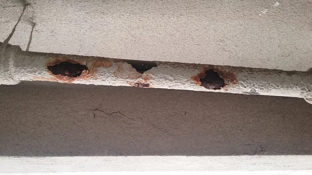 Slide of Harris Rooter Service