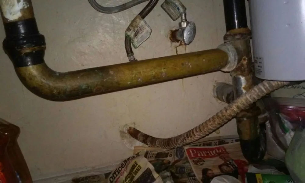 Slide of Harris Rooter Service