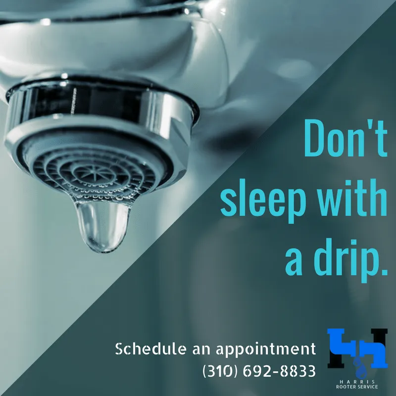 Slide of Harris Rooter Service