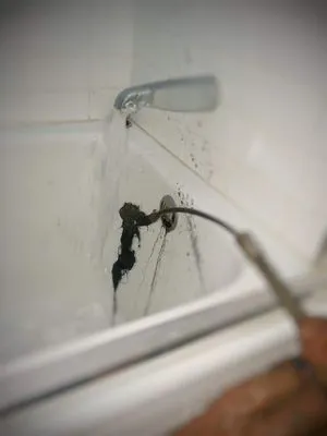 Harris Rooter Service Logo