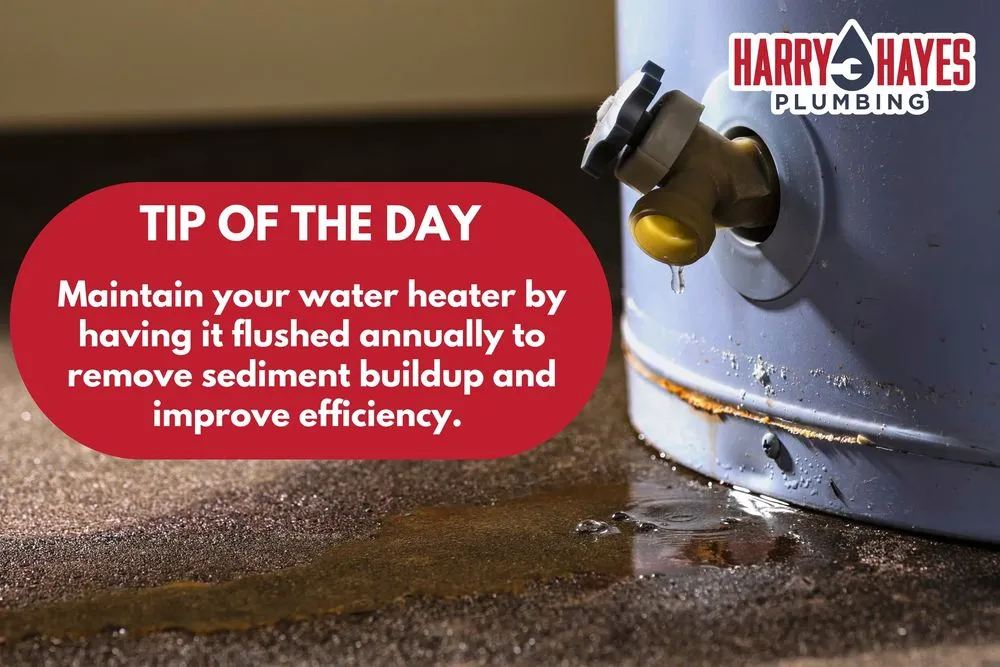 Slide of Harry Hayes Plumbing