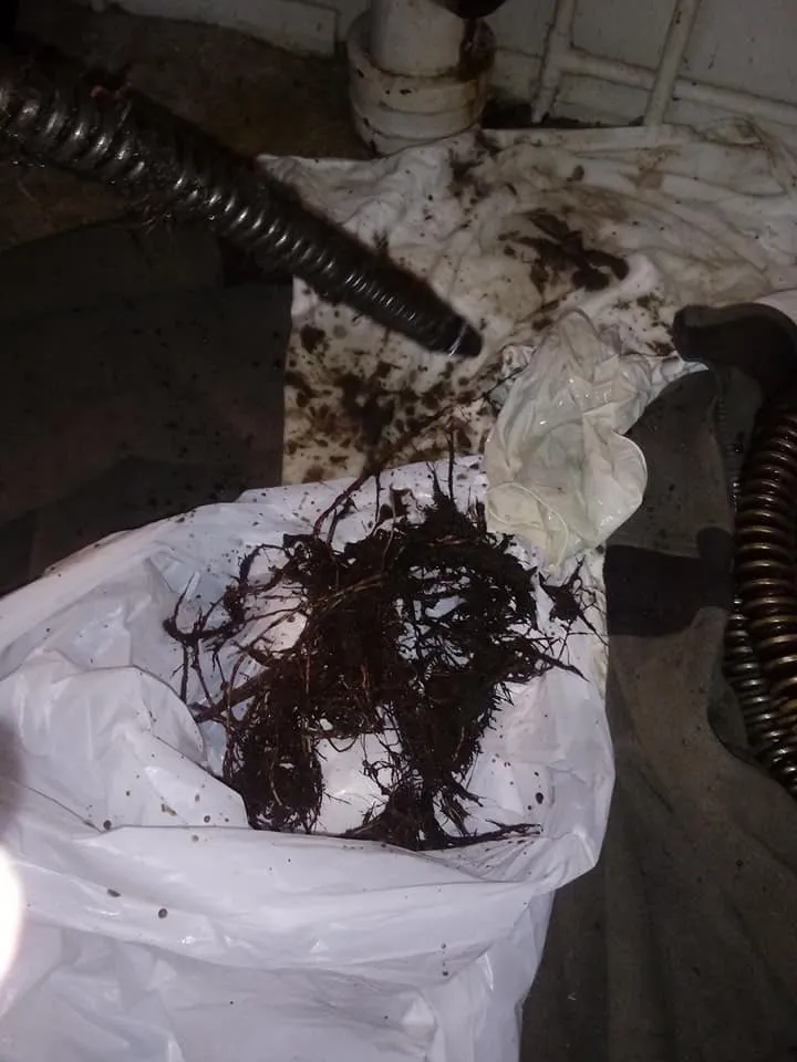 Quality pipe repair service in Sanford, MI - Harry's Sewer & Drain Cleaning