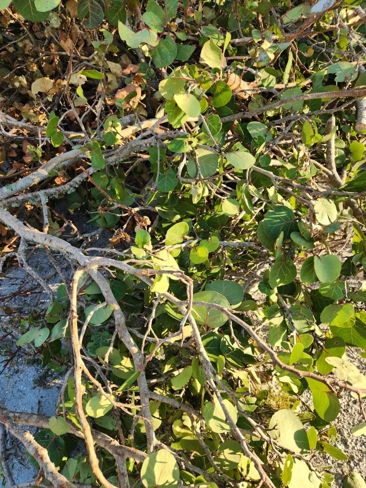 Trusted water heater service experts serving Lakeland, FL - Haulers Of Stuff Hauling Services