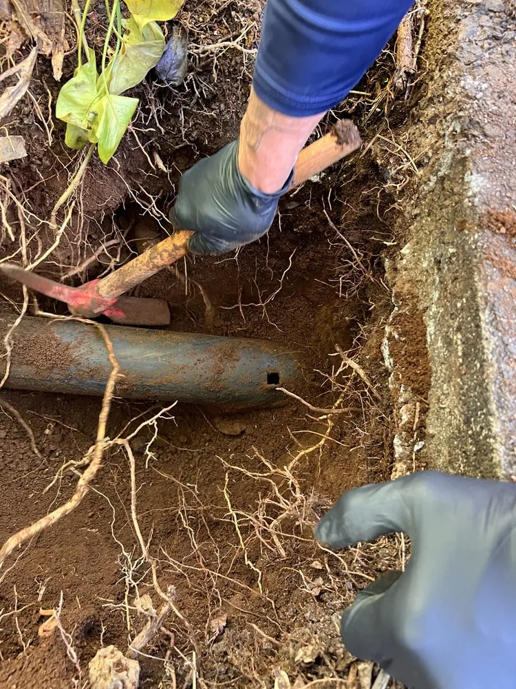 Trusted leak detection service in Kamuela, HI - Hawaii Island Drain and Maintenance Specialists