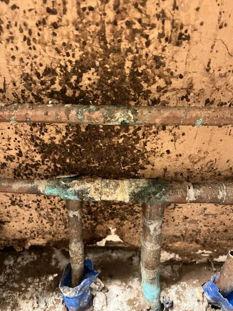 Trusted emergency plumbing service in Kamuela, HI - Hawaii Island Drain and Maintenance Specialists