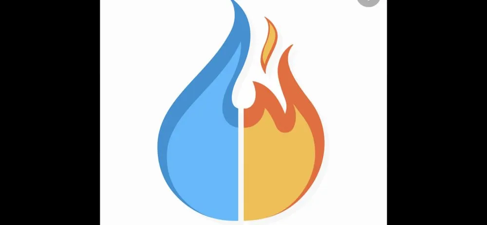 Slide of Hawaii mold experts