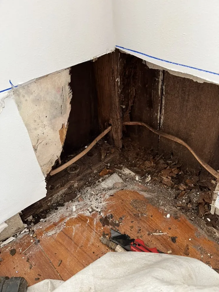 Slide of Hawaii mold experts