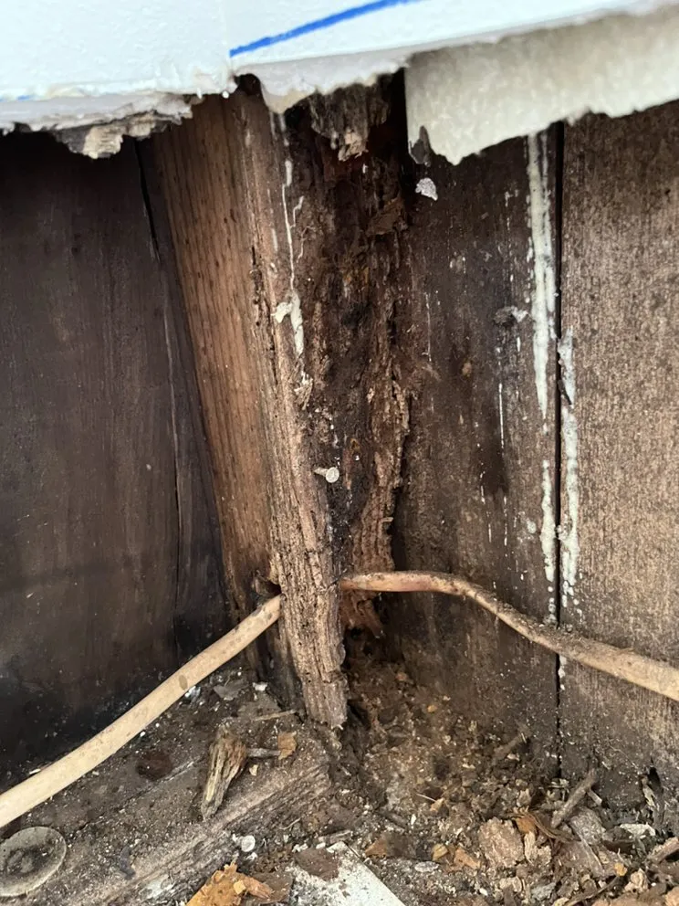 Slide of Hawaii mold experts