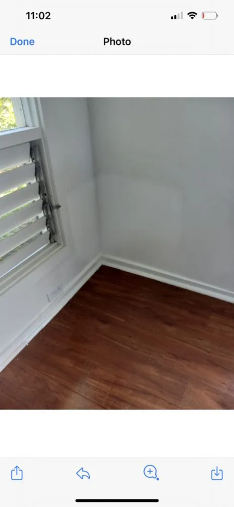 Slide of Hawaii mold experts