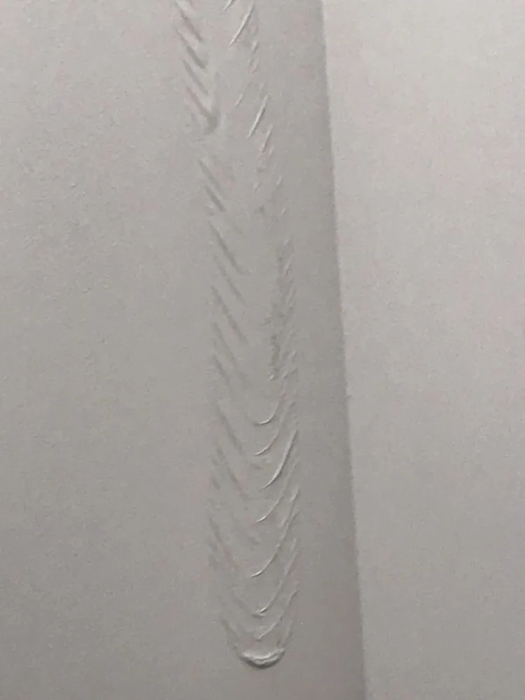 Slide of Hawk Handyman