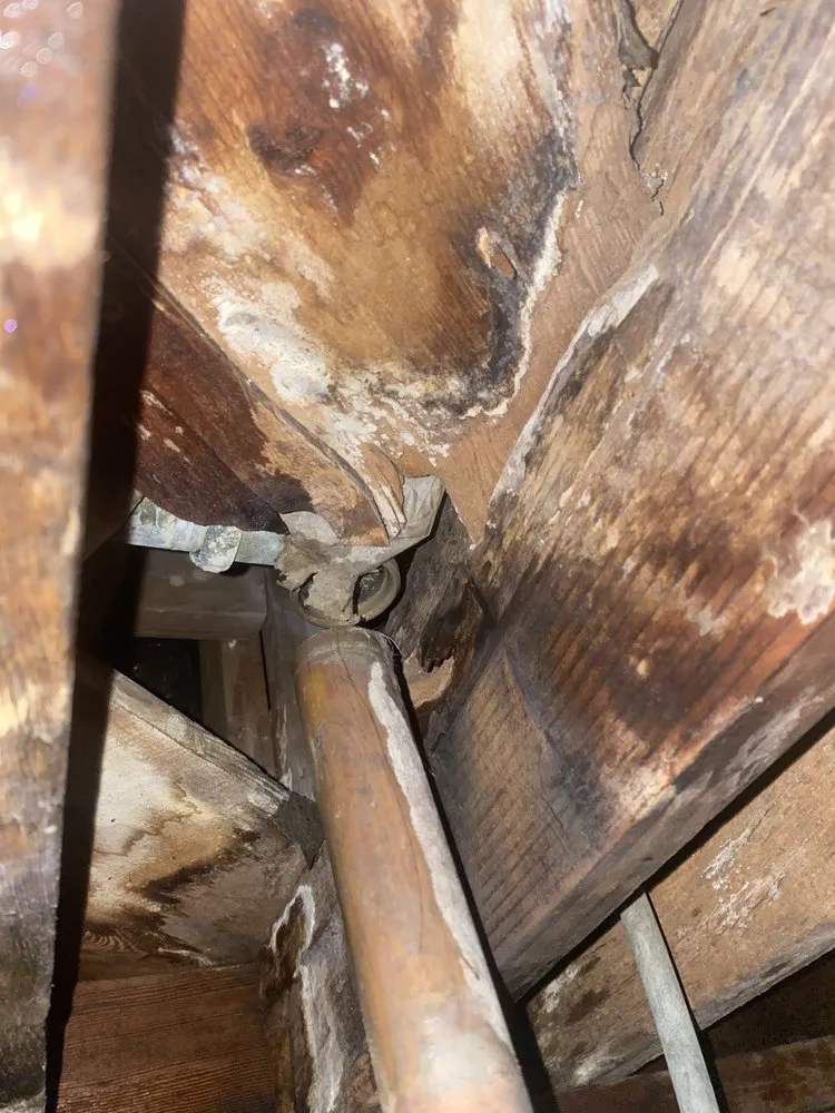 Affordable leak detection in Rancho Cordova, CA by Haymond Plumbing Service