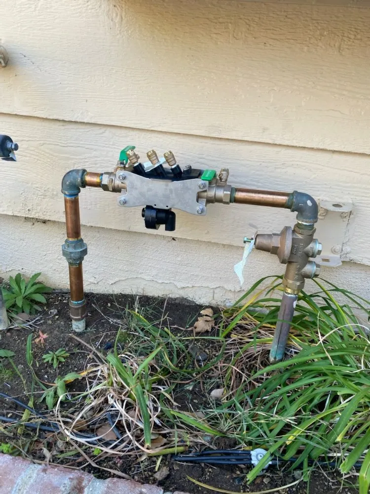 Slide of Hazzard Backflow