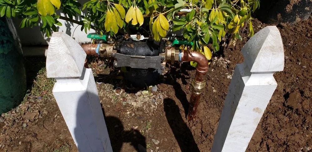 Slide of Hazzard Backflow