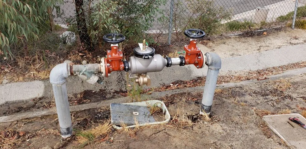 Slide of Hazzard Backflow