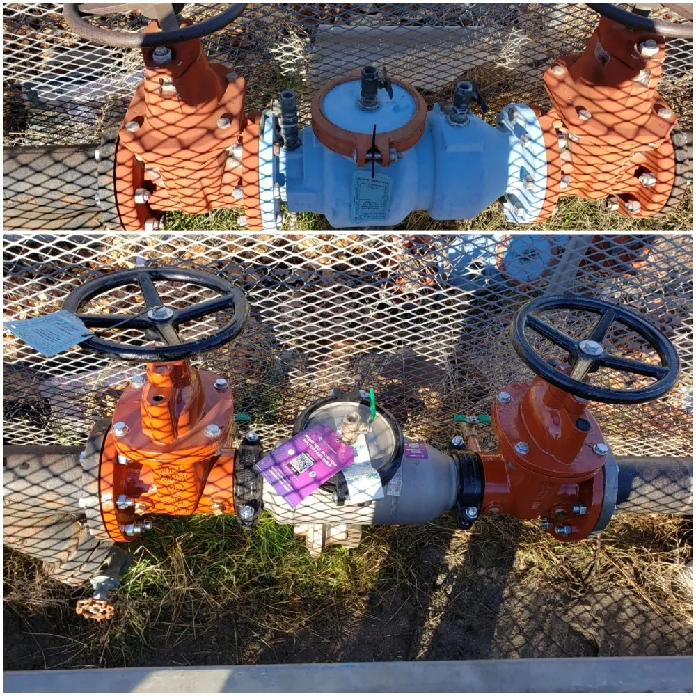 Slide of Hazzard Backflow