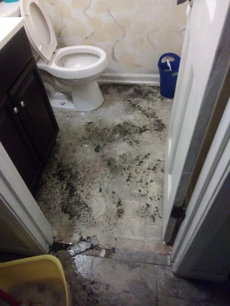 Reliable leak detection for homes in Atlanta, GA by Heads Plumbing Sales & Service