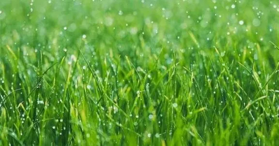 Slide of Heads Up Sprinkler Systems