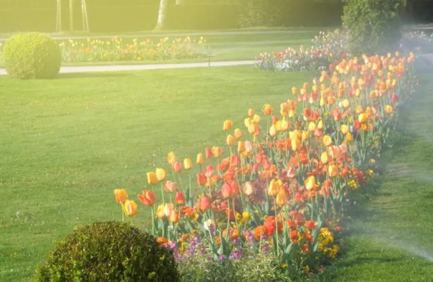 Slide of Heads Up Sprinkler Systems