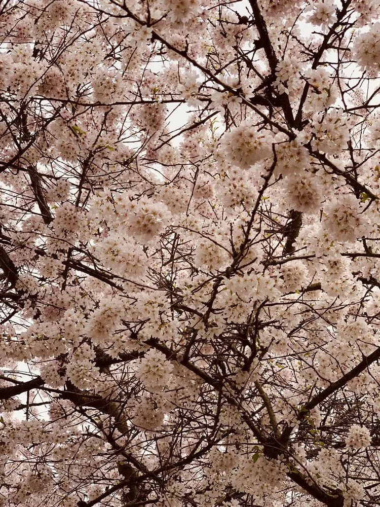 Slide of Heafey's Plumbing