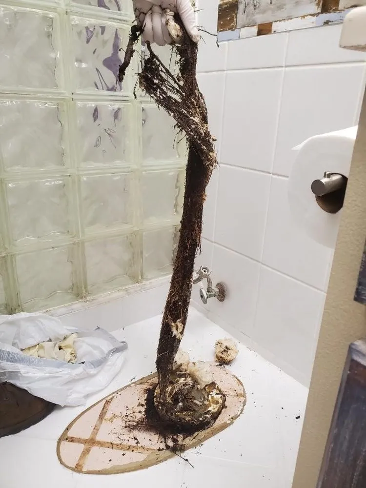 Reliable leak detection in St. Petersburg, FL by Heavenly Plumbing
