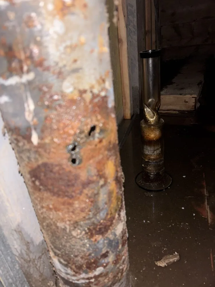 Slide of Heavy Doody Rooter