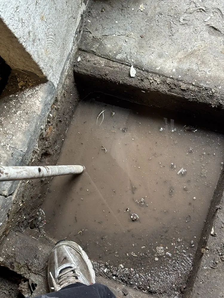 Slide of Heavy Doody Rooter