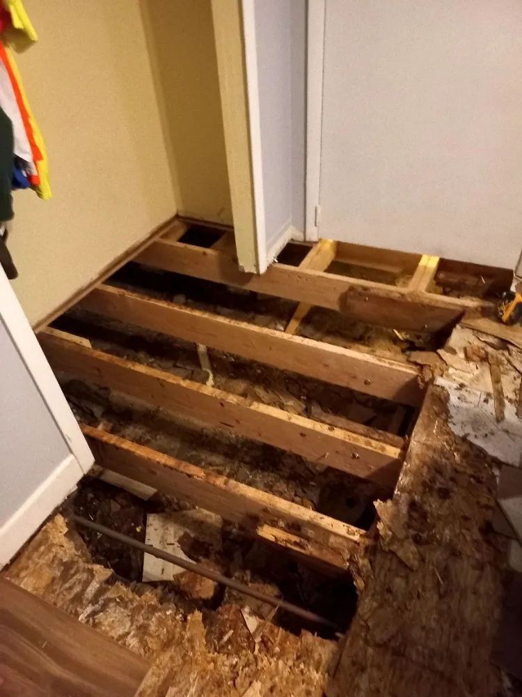 Slide of Hector Plumber