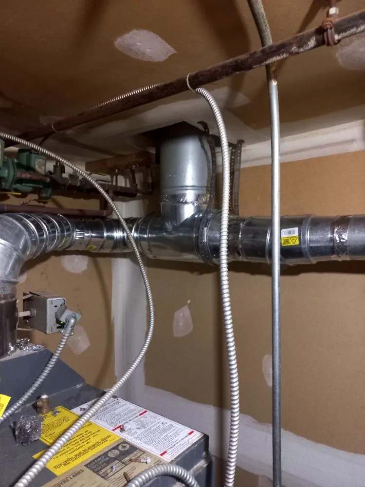 Slide of Hector Plumber