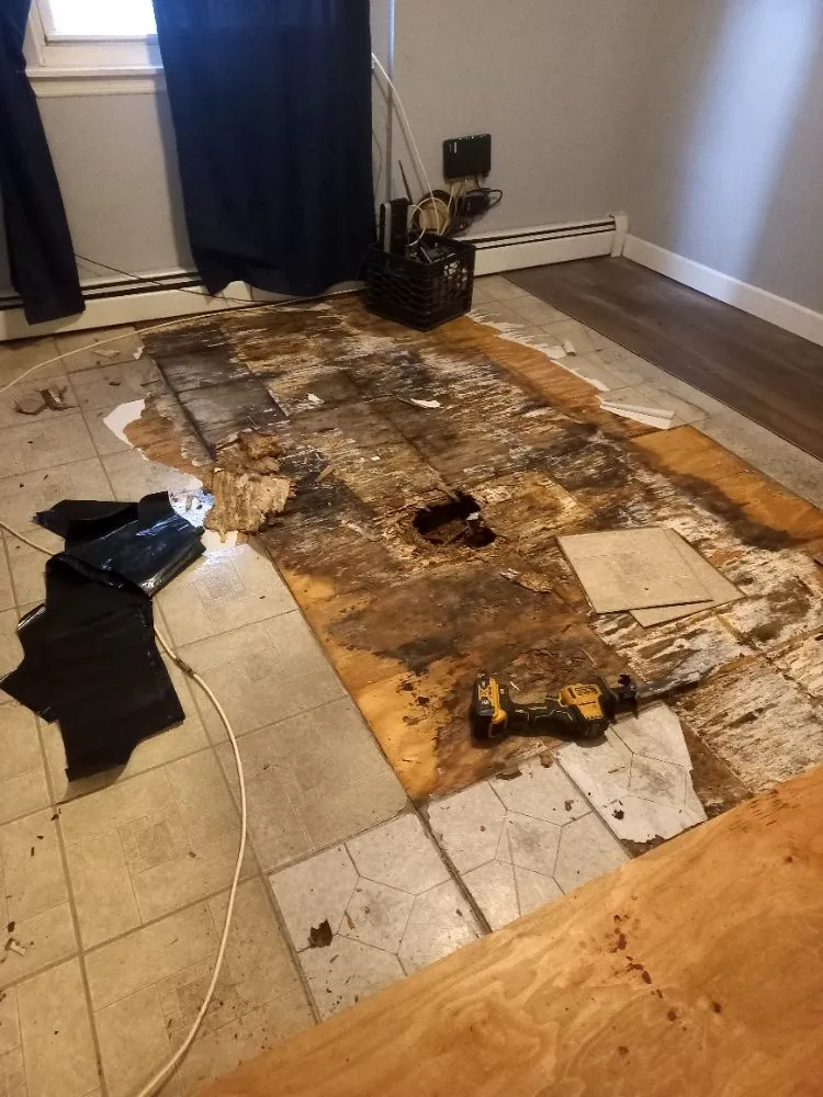 Slide of Hector Plumber