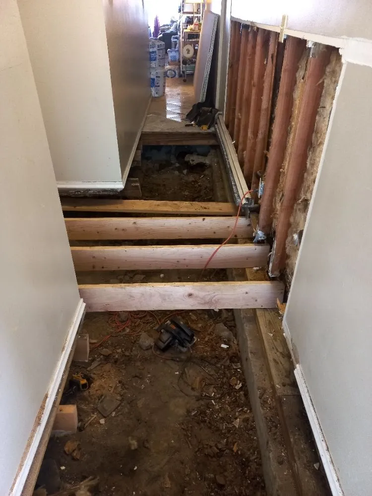 Slide of Hector Plumber