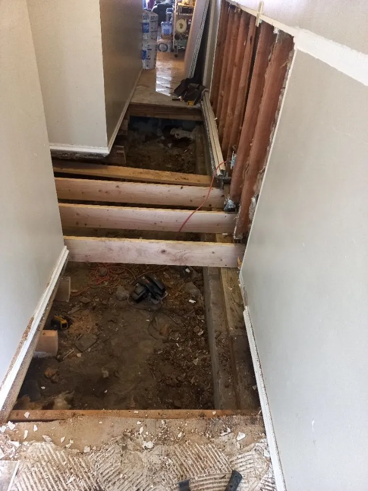 Slide of Hector Plumber