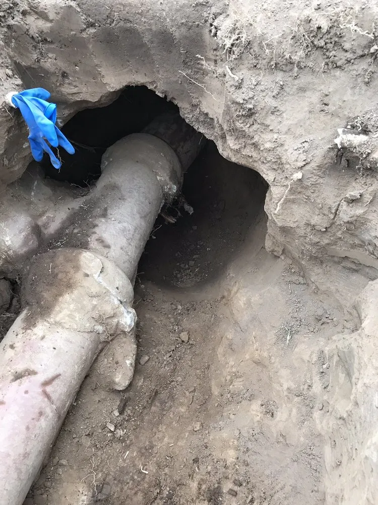 Slide of Hector TM Plumbing