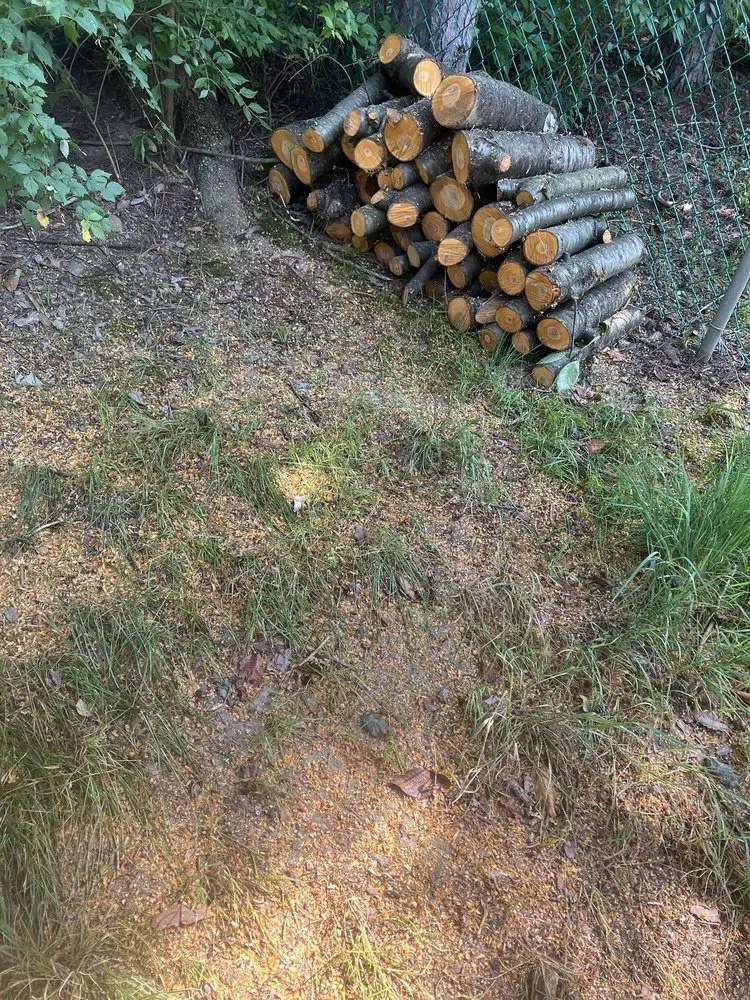 Slide of Heeter Enterprises Tree Service and Landscaping