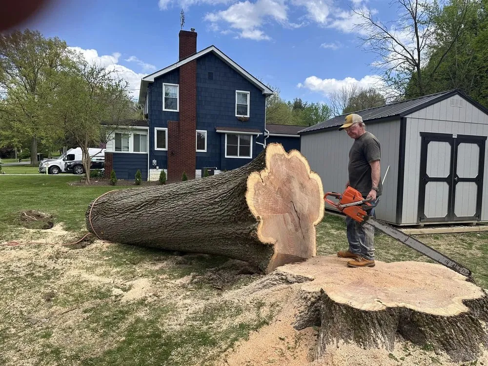 Slide of Heeter Enterprises Tree Service and Landscaping