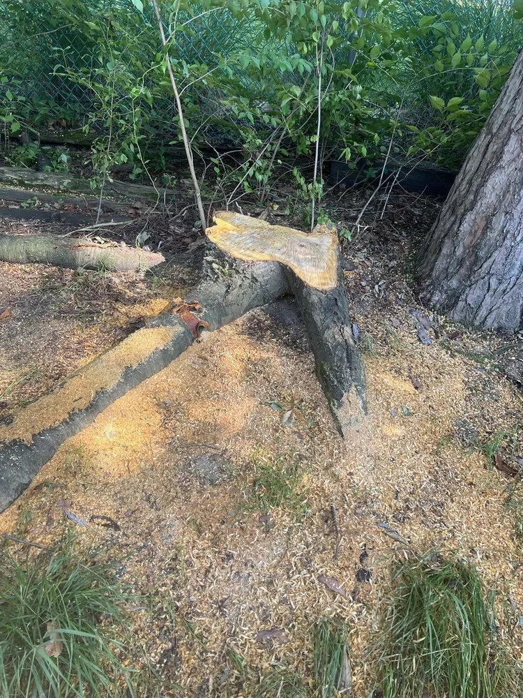 Slide of Heeter Enterprises Tree Service and Landscaping