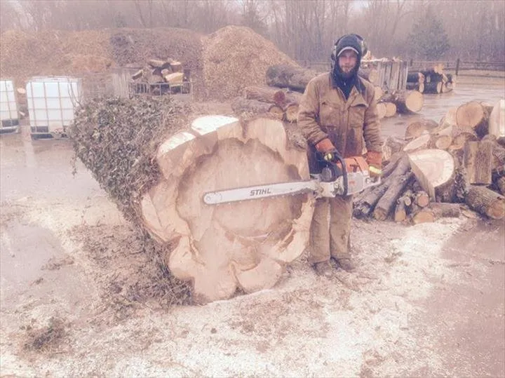 Slide of Heeter Enterprises Tree Service and Landscaping