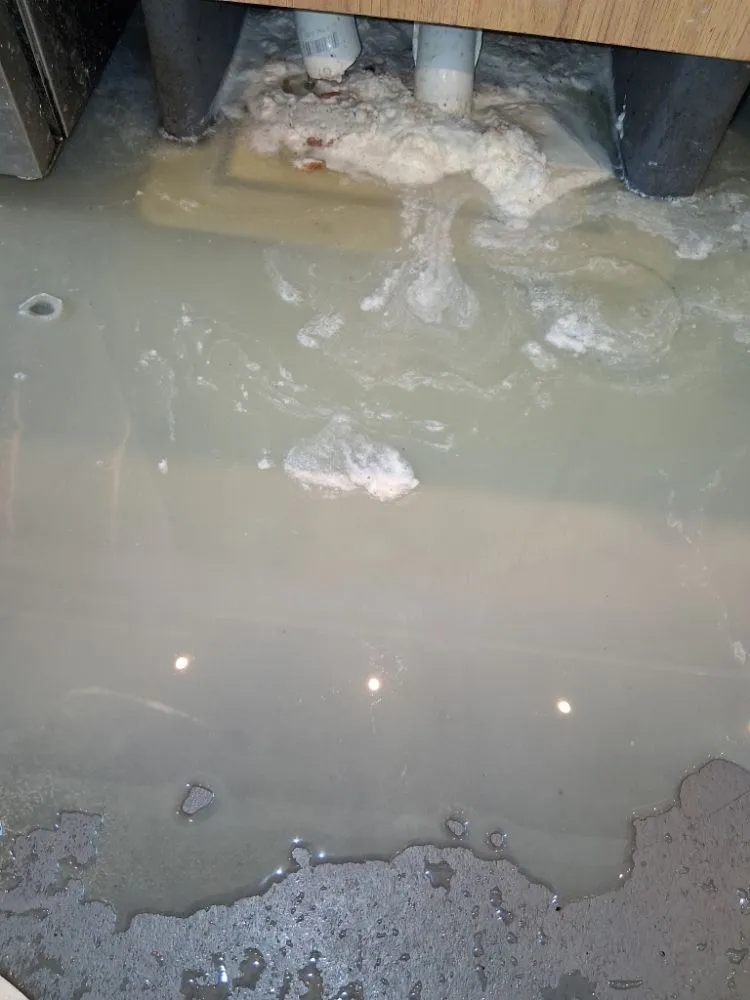 Slide of Helenas Drain Doctor