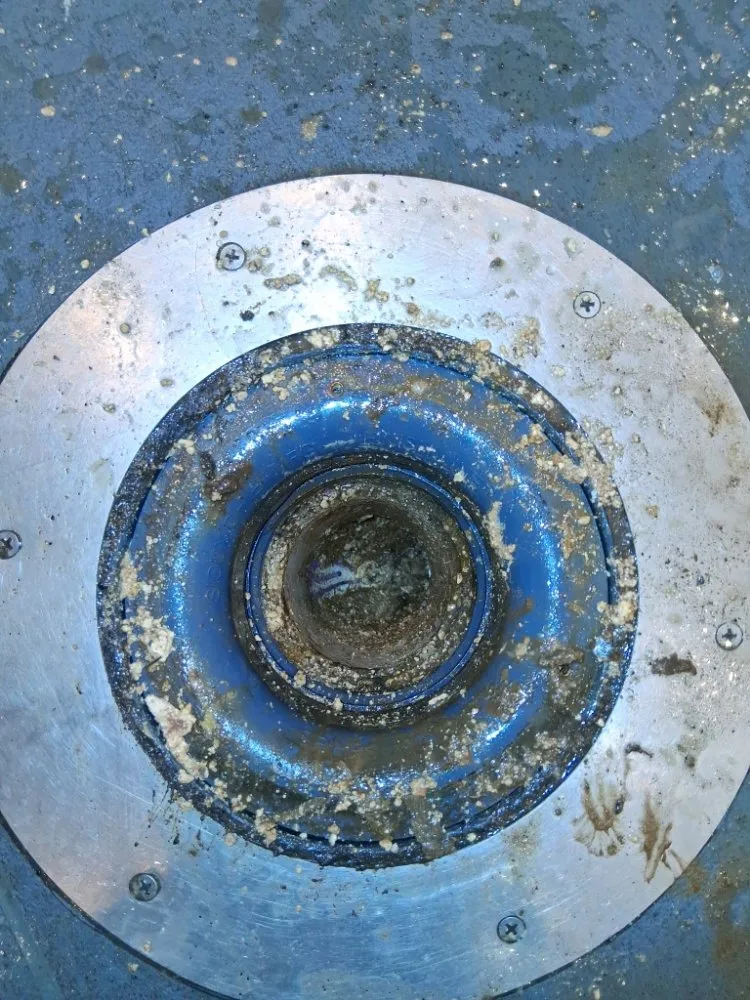 Slide of Helenas Drain Doctor