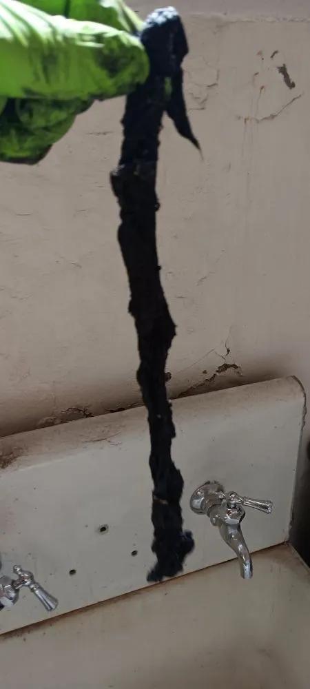 Slide of Helenas Drain Doctor