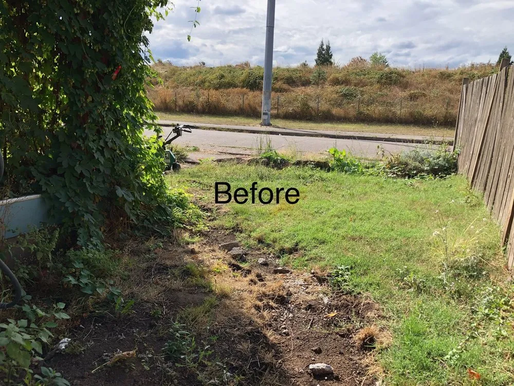 Slide of Helikson And Sons