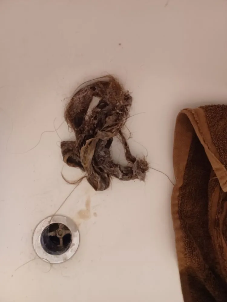 Slide of Hello Drain Cleaning Fresno