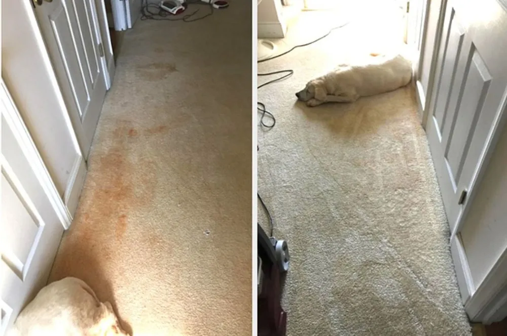 Slide of Help You Move