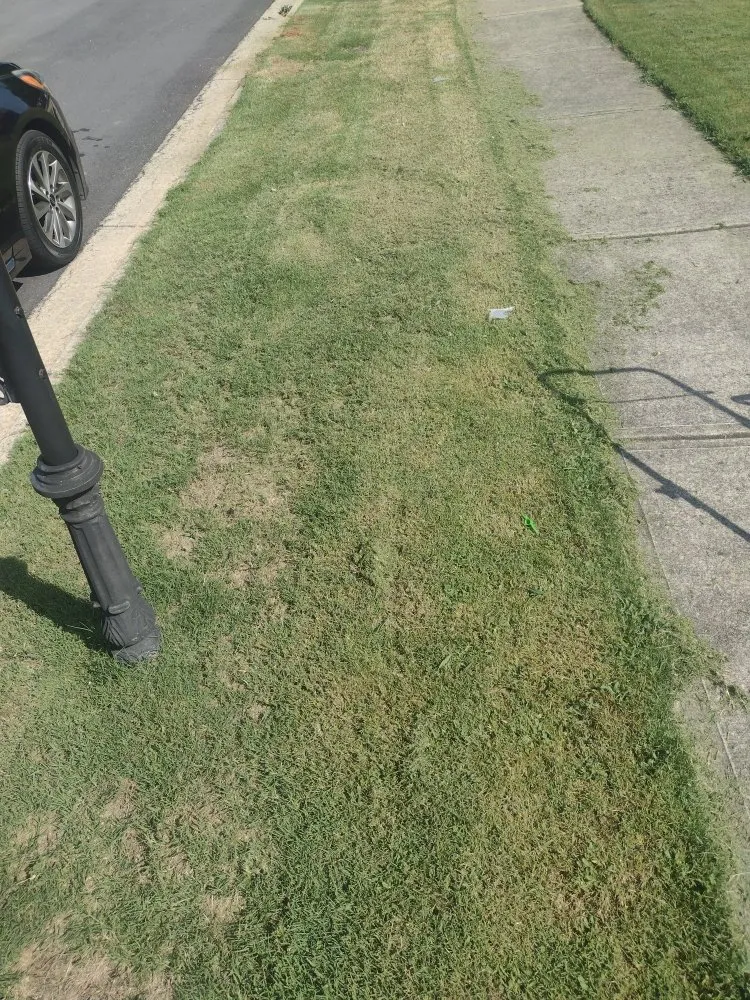 Slide of Help You Move