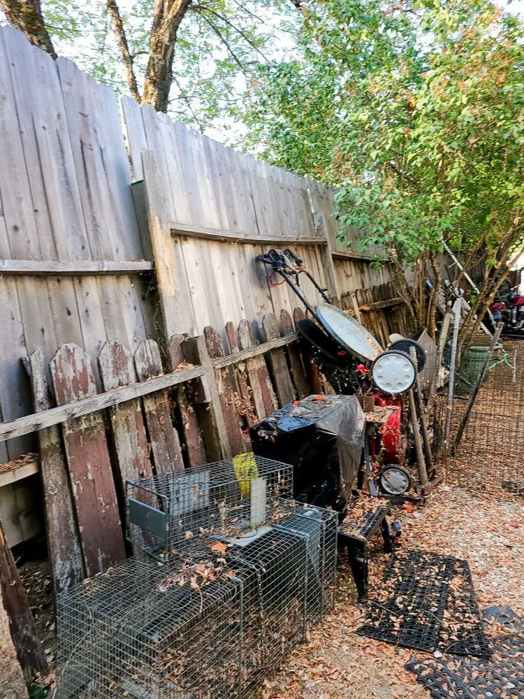 Slide of Helping Hands