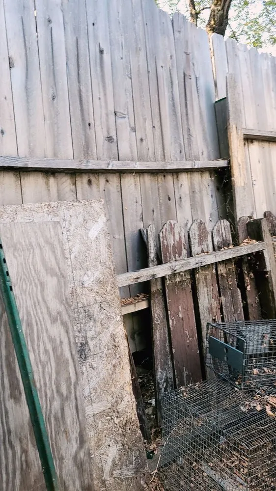 Slide of Helping Hands