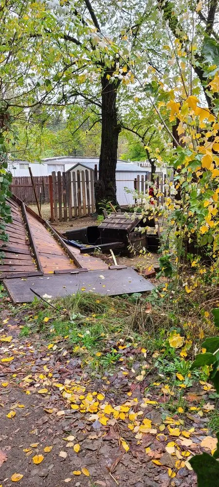 Slide of Helping Hands