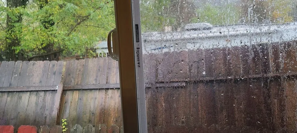 Slide of Helping Hands