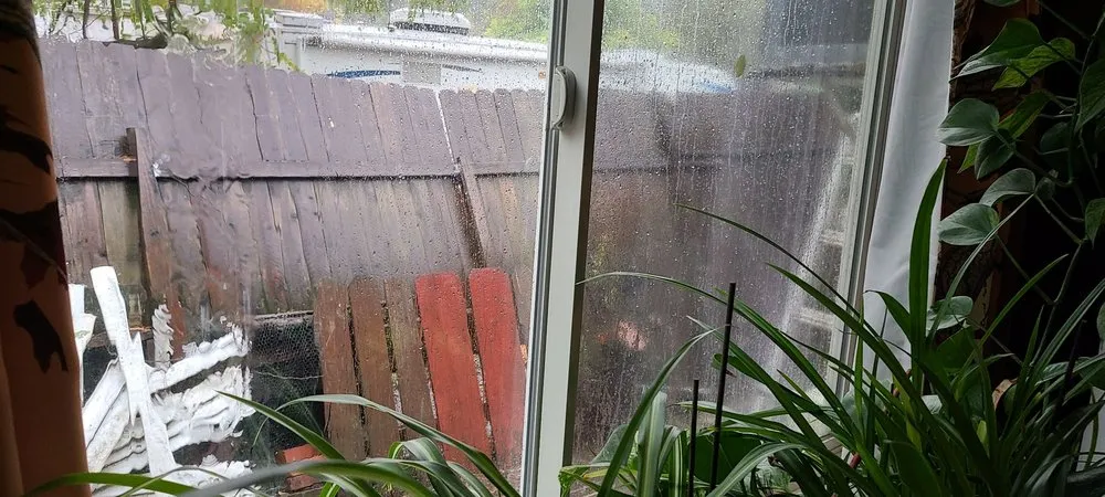 Slide of Helping Hands