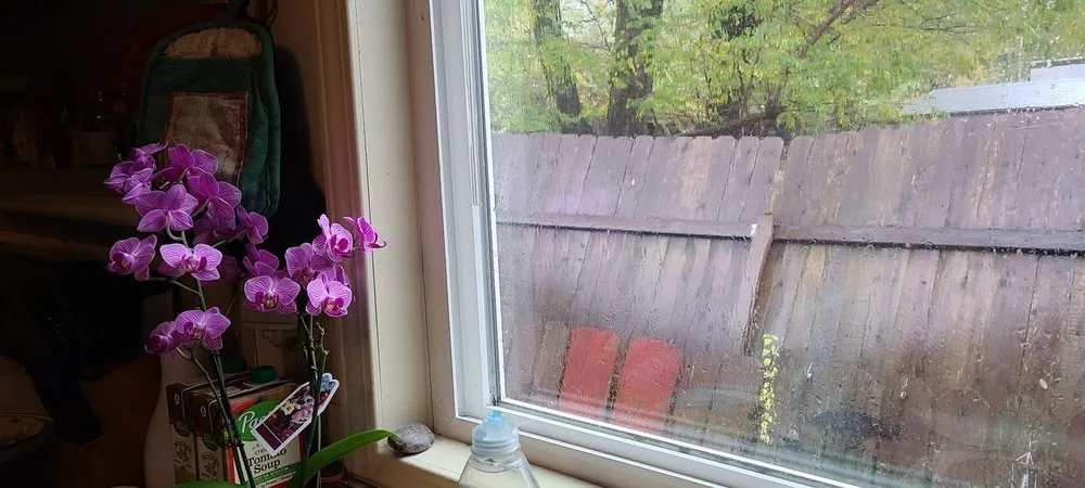 Slide of Helping Hands