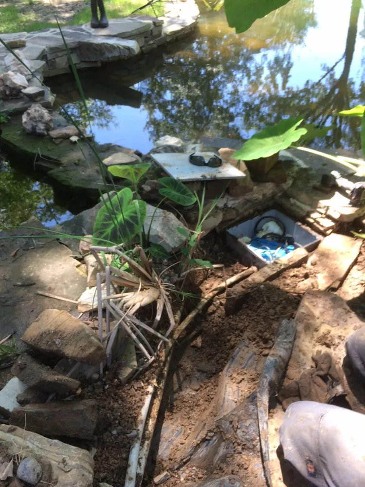 Slide of Henley's Services